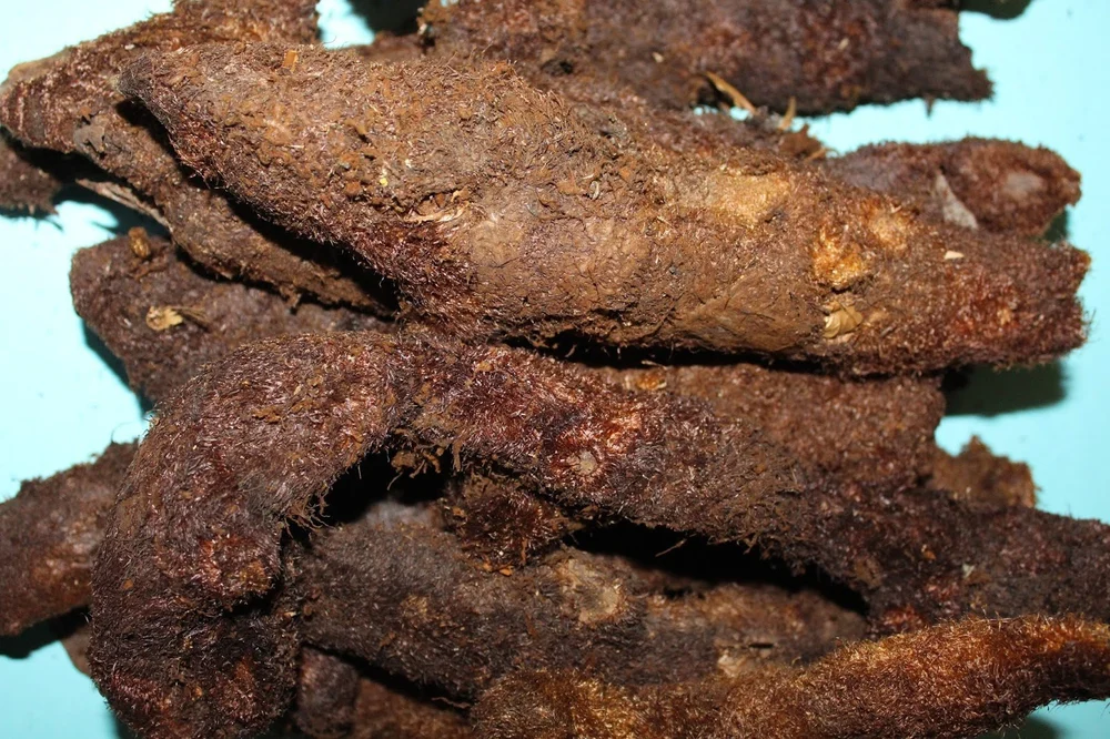 Mudavatangilangu