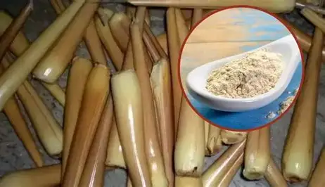 Pana-kizhangu Powder